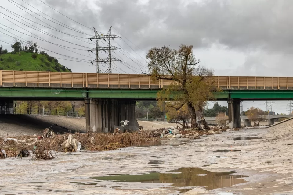 View of Los Angeles River at Glendale Narrows segment with tree and overpass